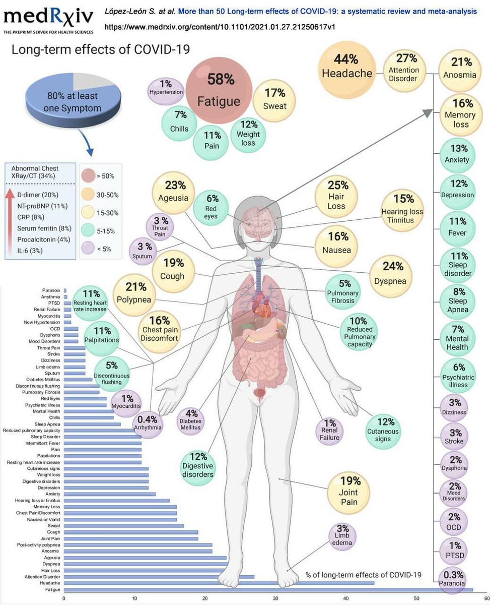COVID PERSISTENTE: Más de 50 síntomas presentes a largo plazo tras la infección por #COVID19: un problema que hay que conocer.

Os dejo por aqui una revisión sistemática que aporta una infografía excelente.

#LongCovid #COVIDpersistente

medrxiv.org/content/10.110…