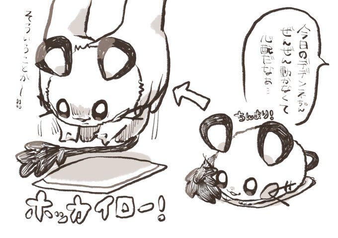 デデンネちゃん 