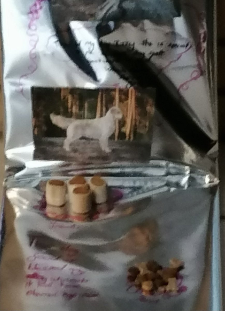 Newbridge School RVE tweet media