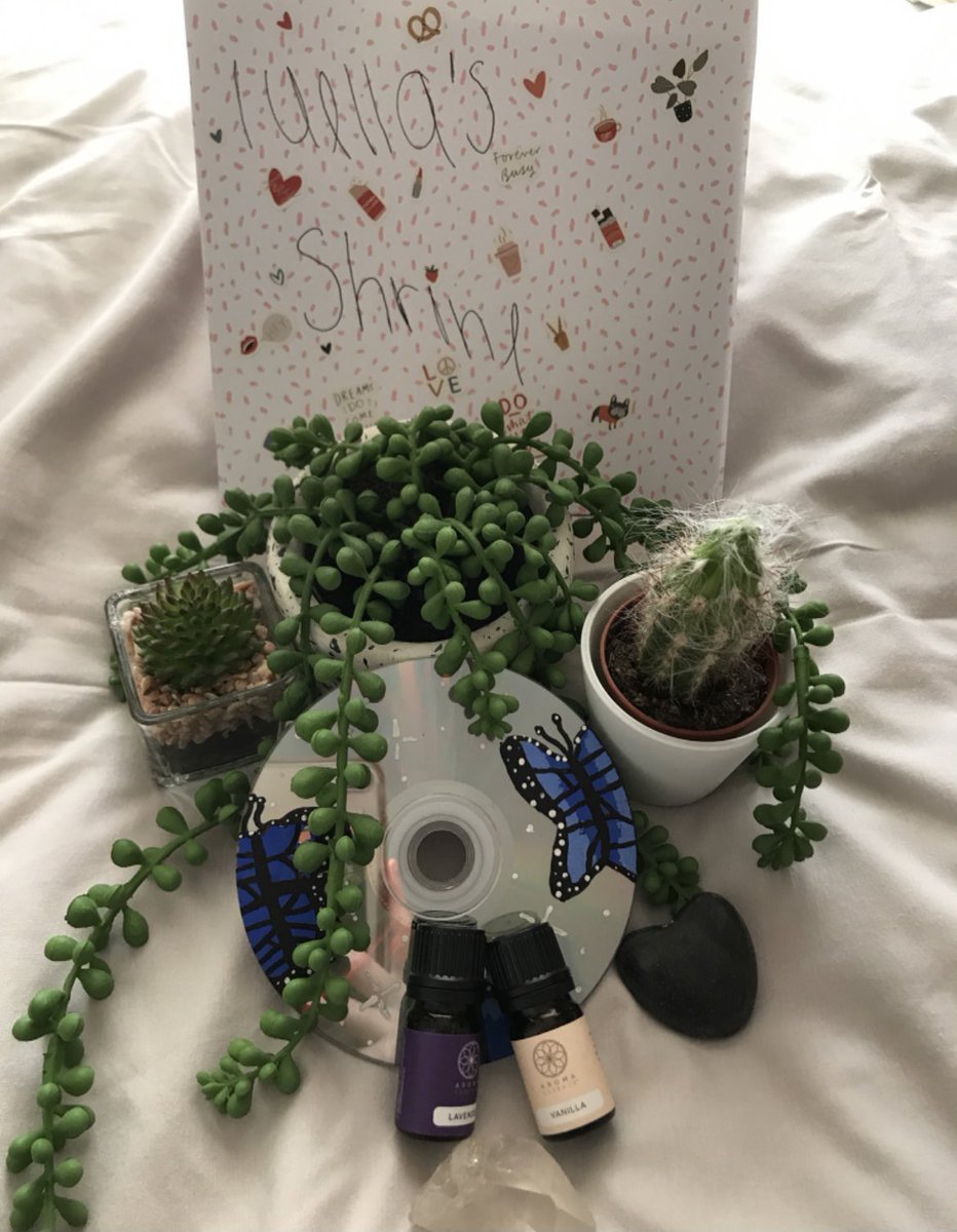 Newbridge School RVE tweet media