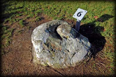 The Faughart Well is fascinating for the survival of a series of stones, used as the stations of the cross, each with their own name & possibly Pre-Christian in origin. The site is a tourist & pilgrimage spot. Even English neopagans can be encountered!  http://www.megalithicireland.com/St%20Brigid%27s%20Shrine,%20Faughart.html