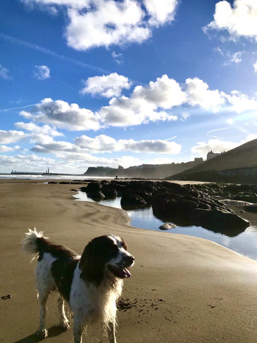 Phil Trumper tweet media