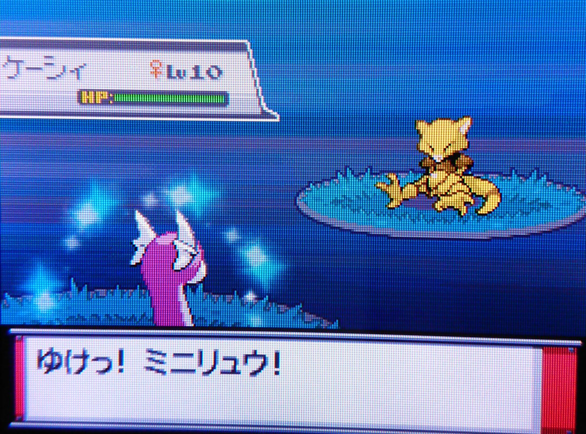 ひいと 色違いハンター Heat Pokecolor Twitter ひいと 色違いハンター Heat Pokecolor Twitter