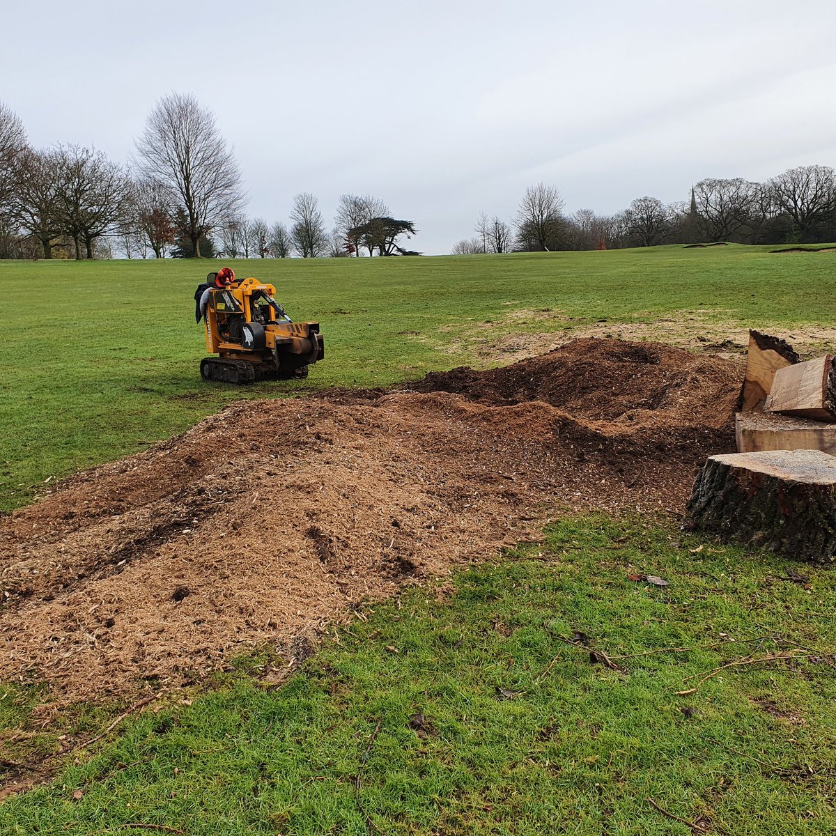 TreeGrinding's tweet photo. Grinding out a large willow tree stump at Saffron Walden, Essex. The willow tree stump was approximately 6 feet across with a large buttress. The stump was removed well below ground level. #treestumpgrinding #SaffronWalden
#Essex
#Treestumpremovals https://t.co/uBPYNmr38S
