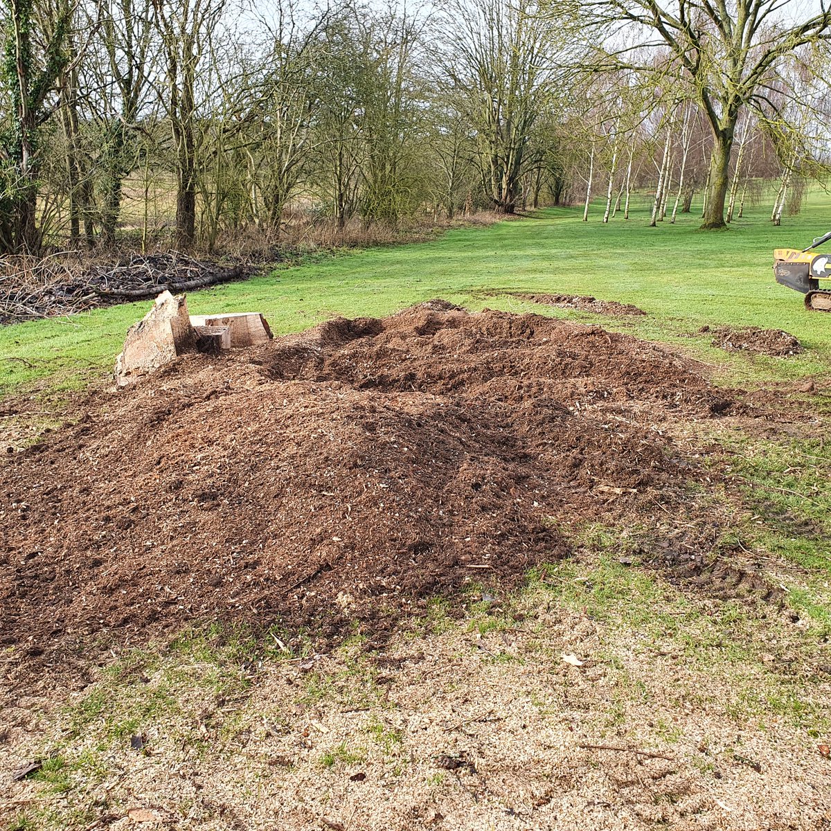 TreeGrinding's tweet photo. Grinding out a large willow tree stump at Saffron Walden, Essex. The willow tree stump was approximately 6 feet across with a large buttress. The stump was removed well below ground level. #treestumpgrinding #SaffronWalden
#Essex
#Treestumpremovals https://t.co/uBPYNmr38S