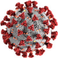AdrianPBrewer's tweet image. Just received letter inviting me to my #covid #vaccineuk  it came in A4 envelope with plenty of info. It was also in 17 #languages altho not #French or #German + a phone no if I needed an interpreter. What a #diverse country we live in.  Are other countries so accommodating?