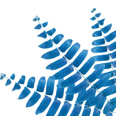 LucidSchoolPhotography tweet media