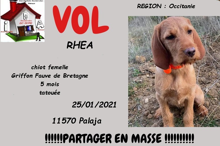 Kate23170's tweet photo. ALERTE ALERTE ALERTE ALERTE ALERTE ALERTE ALERTE ALERTE
RHE N'A QUE 5 MOIS ELLE A DISPARU A PALAJA 11570 LE 25/01/2021 TOUT PORTE A CROIRE QU'IL S'AGIT D'1 VOL MERCI D'OUVRIR L'OEIL ET DE PARTAGER EN MASSE SVP https://t.co/m5CYxUjEjH