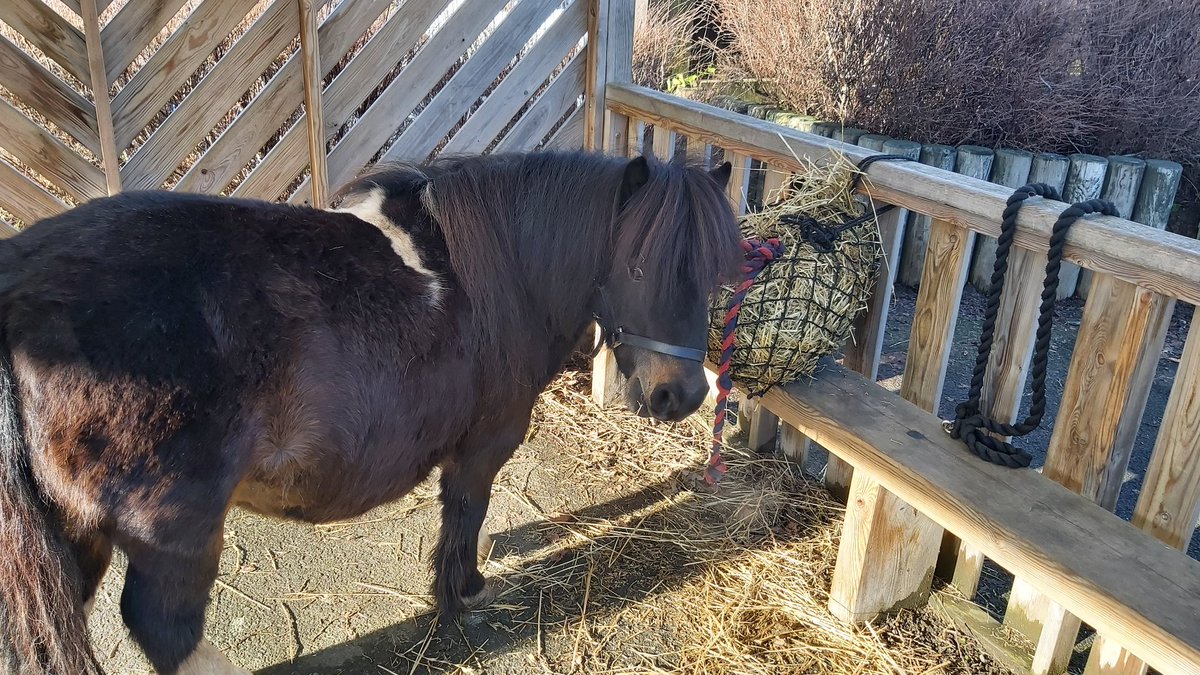 What fantastic weather for the start of children's mental health week..

Nutella has worked really hard spreading smiles and positive attitudes 😃 

She was less impressed when I told her we may need to consider a diet and assures me its all fluff

#ChildMentalHealthWeek