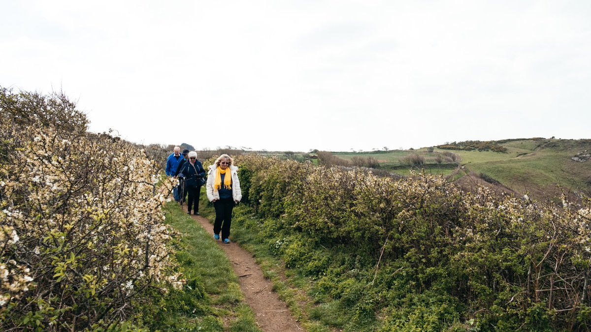 JerseySport's tweet photo. We are delighted to be able to start offering our Move More Health Walks again, with limited places available and updates to routes and timings.👏 Please visit our website for details and timetable: https://t.co/dow3Kbr9nA #WinningThisWinter #MoveMoreJersey #FeelGoodFebruary❤️ https://t.co/u6IM5OAfEB