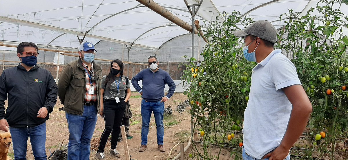 AgriculturaEc's tweet photo. .@jlrubioe9 indicó que se socializarán en el pa��s las aplicaciones virtuales: #Surti, donde están productores de la Sierra y avicultores de El Oro que ofrecen sus productos de manera directa; #Subastapp para ganado en pie; y #AgroDemanda.
#SembramosFuturo https://t.co/G241HKYswH
