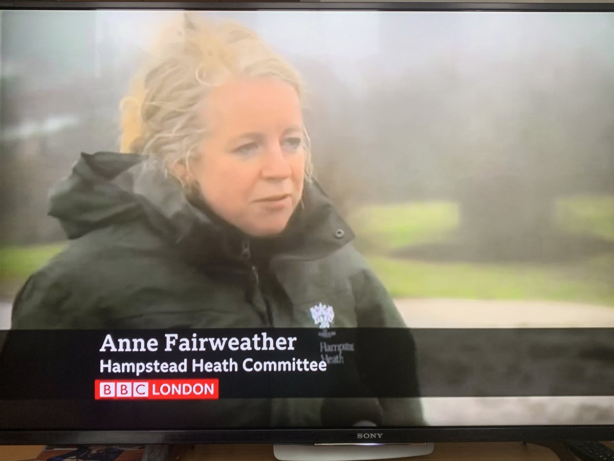 Anne Fairweather tweet media