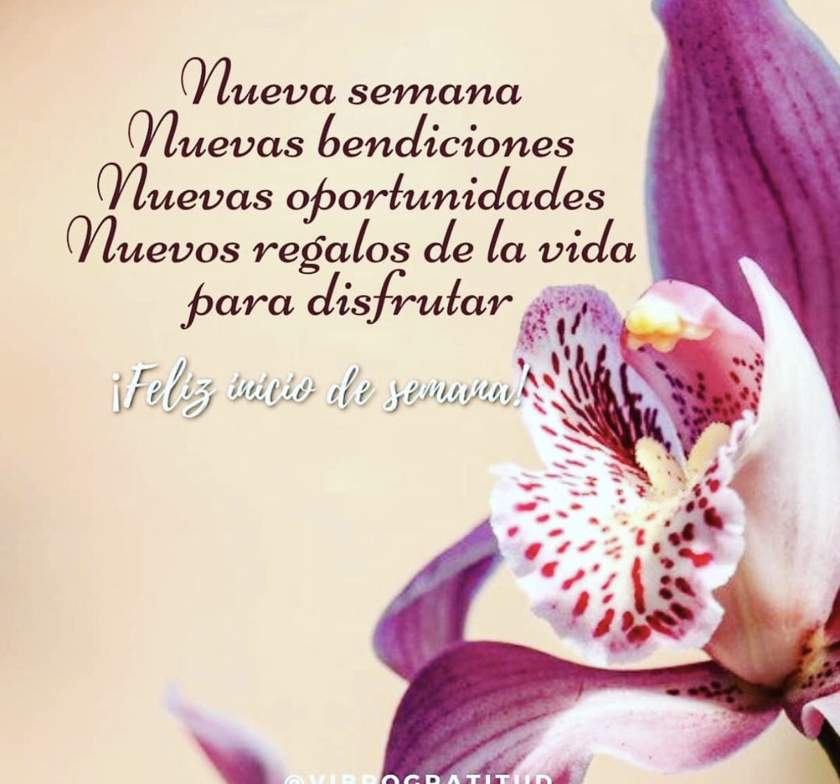 vivilukcr's tweet photo. https://t.co/oYqmTRlAm2