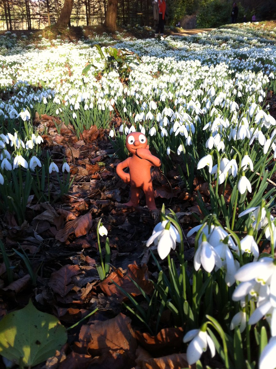 PeteLordAardman's tweet image. Happy Imbolc everybody! (And here's @AmazingMorph trying to work out what #Imbolc means, and are there any treats involved).