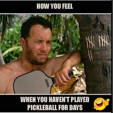 PickleballHut's tweet image. Got this from @kennywasiuta on IG and we couldn't agree more!! Too funny 😂😂 #pickleballmeme #pickleball