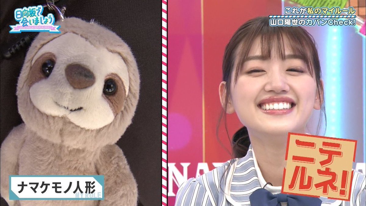 ずう Plaza大反響だろうな 日向ヲタに限る