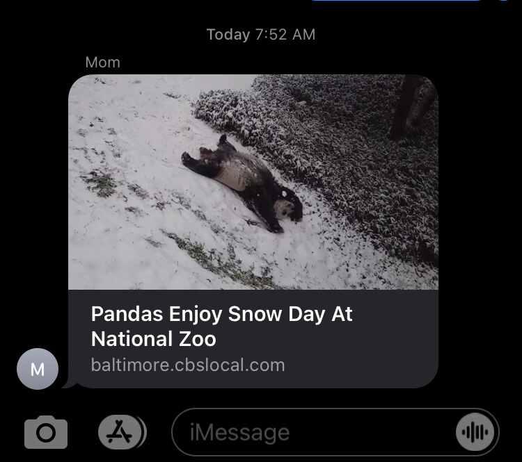 carlinthelesser's tweet photo. Important news update #textsfrommom https://t.co/fxHwgQ9Guv