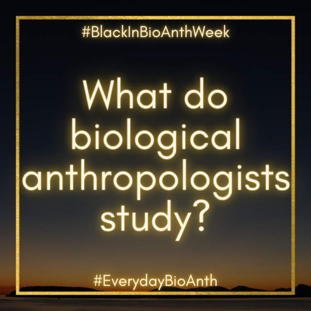 BlackinBioAnth's tweet photo. Today we are asking our #BlackinBioAnth community to talk about what Biological anthropologists do through sharing your research within BioAnth. Quote retweet this post and make sure to use the hashtags #BlackinBioAnthWeek and #EverydayBioAnth https://t.co/ANfnPgmGxa
