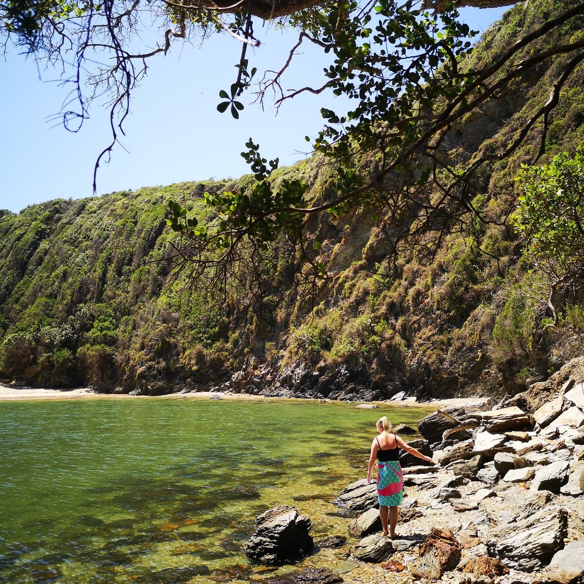 Cami Skerritt tweet media