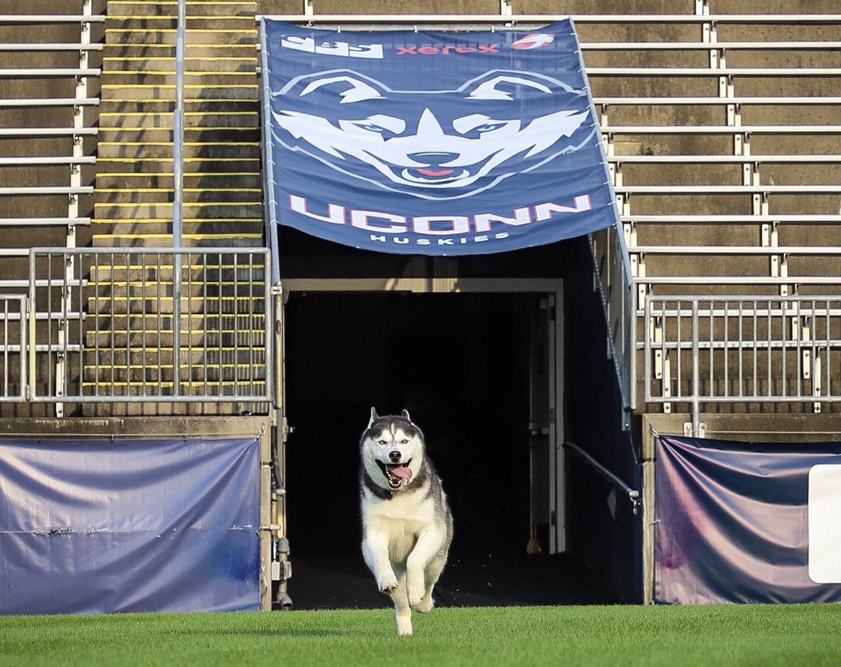 Let’s go 2022‼️ #BL22DBLUE is ready to roll 💯💯💯

#UConnNation🔵⚪️🐺