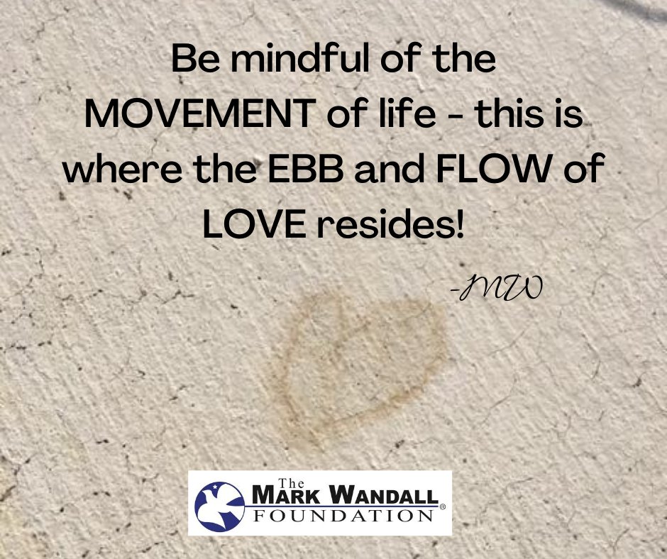 WandallFound's tweet photo. #MindfulMonday https://t.co/6Rqt6Tz166