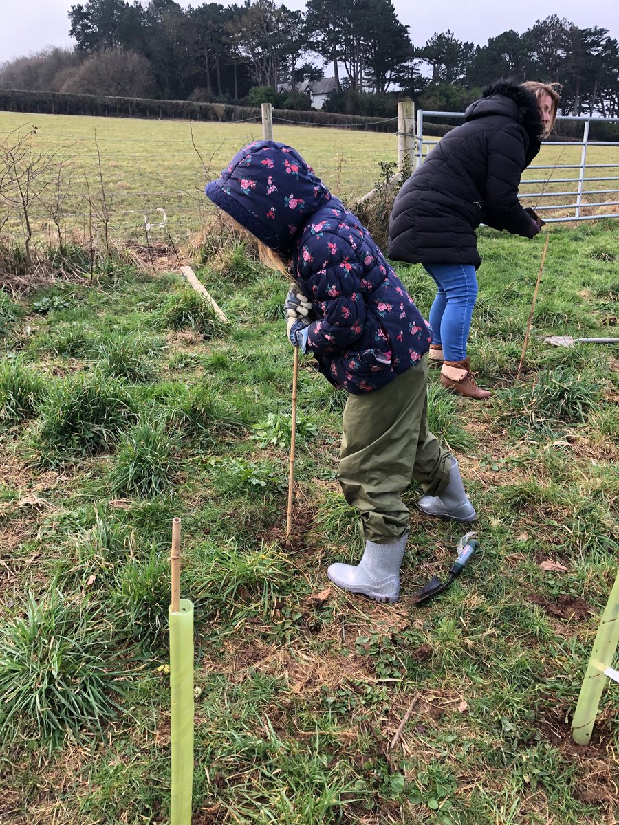 Fun day planting trees in our Forest School Area. #forestschool #plantingtrees #woodlandtrust @conwy_kwt