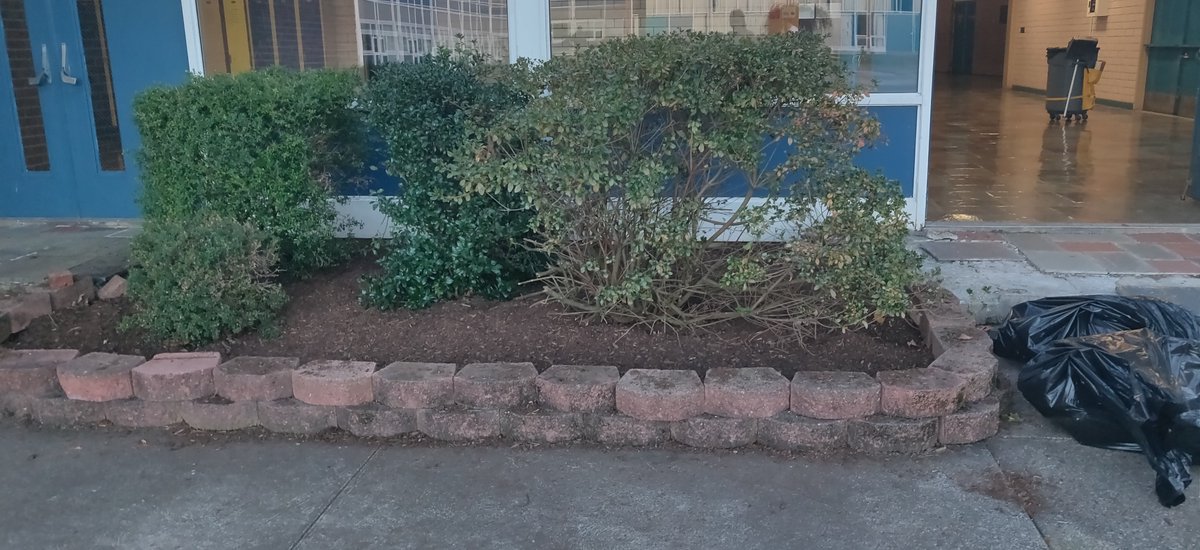 KMSWoburn's tweet photo. A huge Thank You to former student Teresa James for choosing to clean up the Kennedy courtyard and replace several of the benches for her Eagle Scout project. It looks great!! https://t.co/SYSbEM0Zci