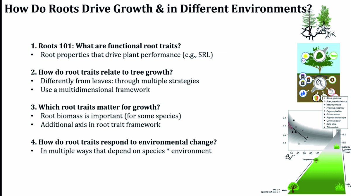 ExFuMo1's tweet image. Why economic spectrum doesn't work for roots?
Thanks, Monique @moniqueweemstra, for a great talk!
#root #EconomicSpectrum #belowgroud #FunctionalTrait #tree #ecology #aqusititve #tradeoff #environment #ExFuMo