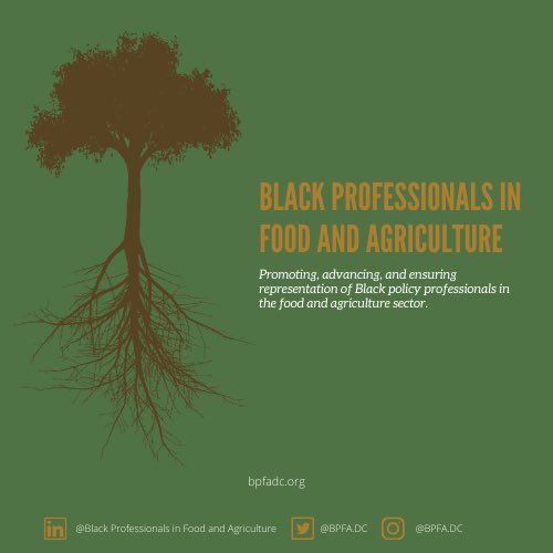 We're officially on Twitter! 

In celebration of #BlackHistoryMonth, we are excited to officially launch our Twitter, @BPFADC and our website, bpfadc.org. 

Follow us to stay updated on all things BPFA!

#BPFADC #BlackProfessionals #FoodandAgriculture #Diversity