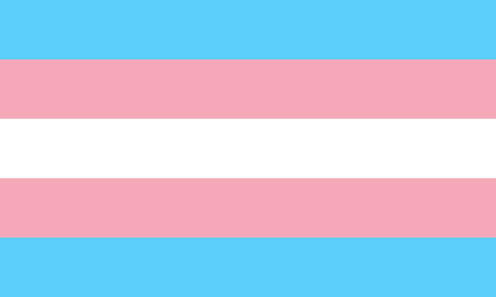 The trans pride flag was designed in 1999 by trans woman Monica Helms. On this flag, the blue respresents the traditional colour for boys; the pink for girls; and the white for nonbinary people. The pattern repeats so that whichever way you fly it, it's always correct.