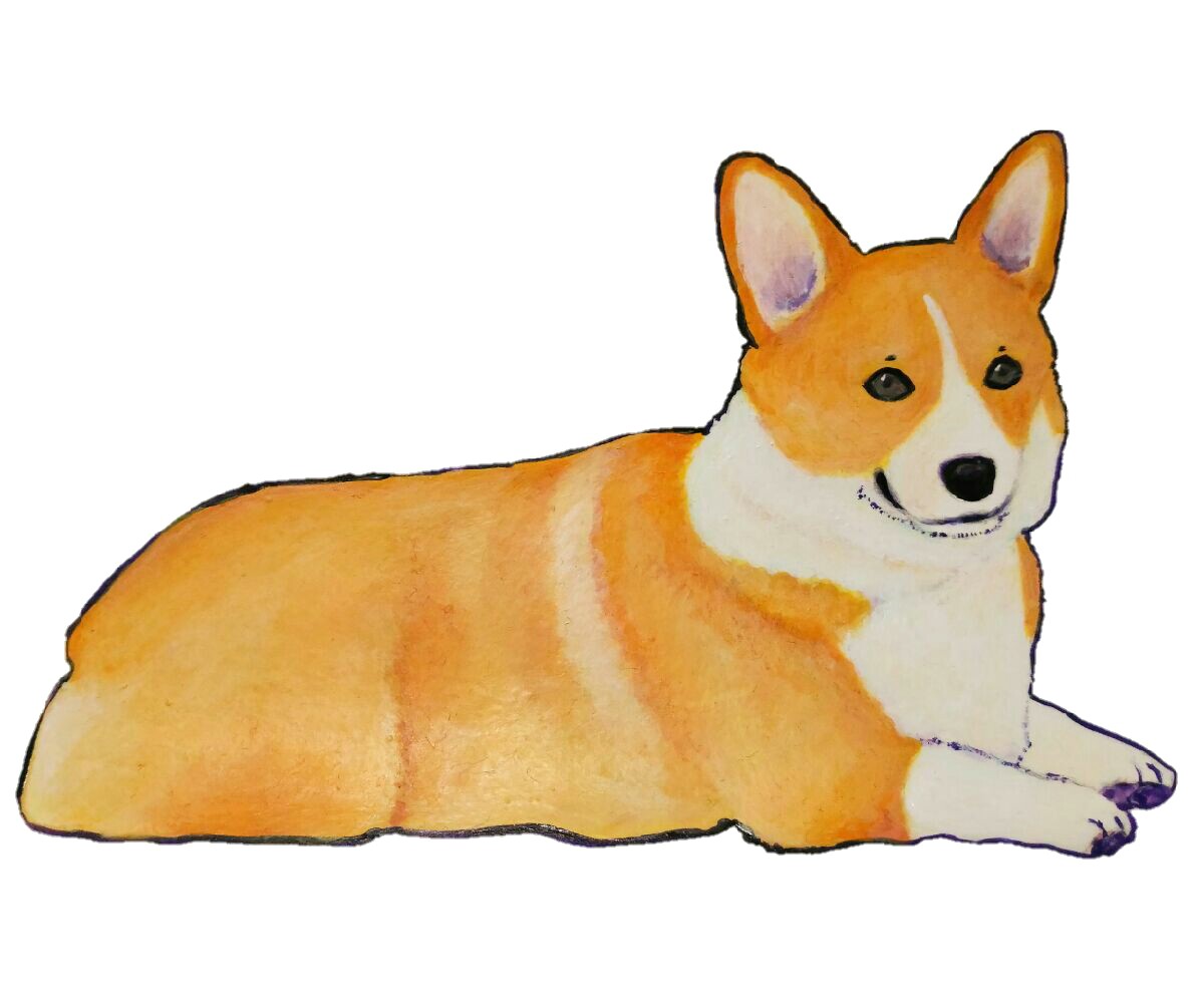 新しいコレクション コーギー イラスト 人気の画像