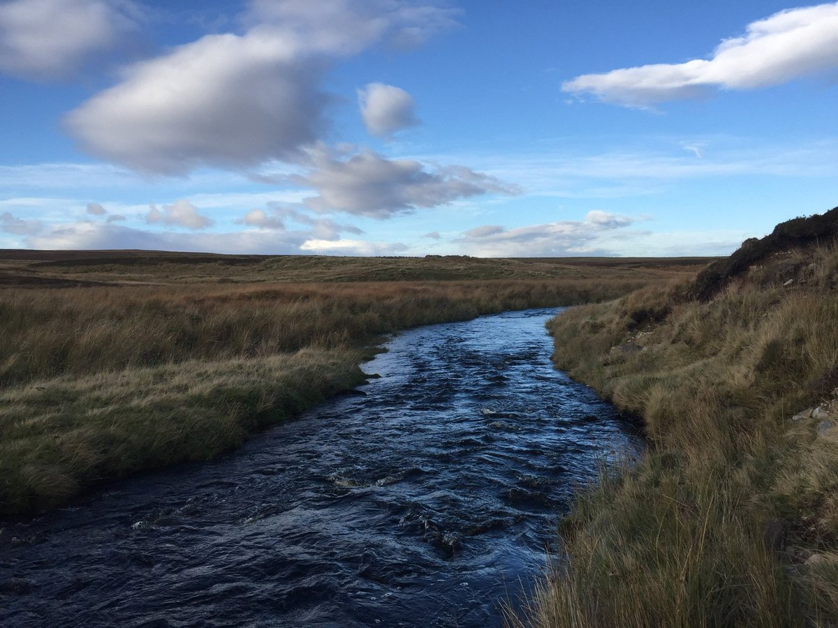 Innis-nam-mult on the hill ahead alongside dozens of deer during the rut. Robert Gunn, John MacDonald, Donald Sutherland were heads of families here before eviction.