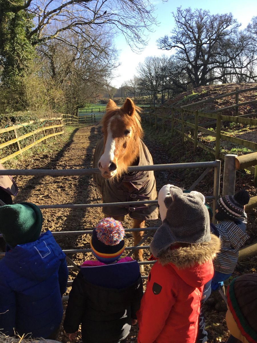 KESPreparatory's tweet photo. Our Nursery children have been down at the school farm getting to know our animals! #StroudNursery #StroudFarm #StroudOutdoors https://t.co/mxd3iIobEL