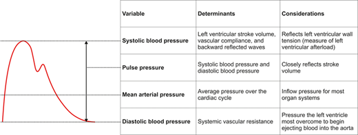 Review from Dr. Sessler and Dr. Saugel summarizes and discusses current evidence and open research questions regarding intraoperative and postoperative blood pressure management in patients having noncardiac surgery. ow.ly/JnRb50DnQPV