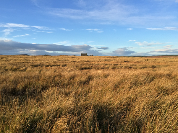 Achscoriclate. Home to these people and their families before eviction: John MacDonald, John Mackay, William MacDonald, Robert Gordon, Kenneth Henderson, William Henderson, Donald Gunn Beg, John Gunn, Alex Gunn, Roderick Mackay, Marwood Sutherland, Neil Gunn, and Widow Gunn.