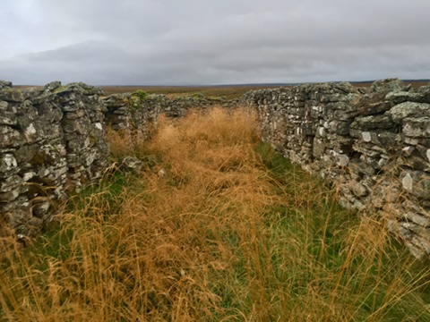 A longhouse at Carn-nam-Muc. Neil Gunn, William Gunn, Alex Macleod, William Macleod, Alex Mackay, and Fila Mackay and their families were all cleared from this township during the Ulbster Evictions.