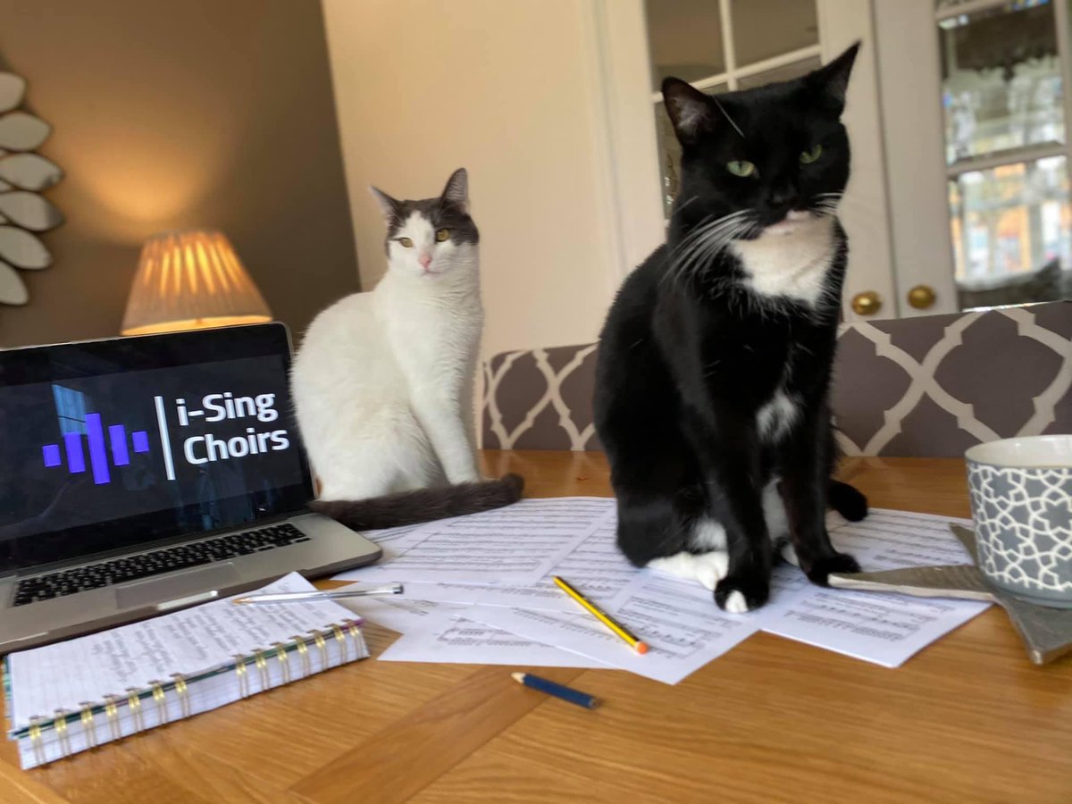 ISingchoirs's tweet photo. Due to being in another lockdown, I have been forced to find innovative ways to try out i-Sing Choirโs latest arrangements. Here are the new recruits......Bella on Soprano and Mythos on Bass! Now to find some altos?! ๐ค๐ต๐ #catchoir #worcestershire #isingchoirs https://t.co/0kuB94oLNX
