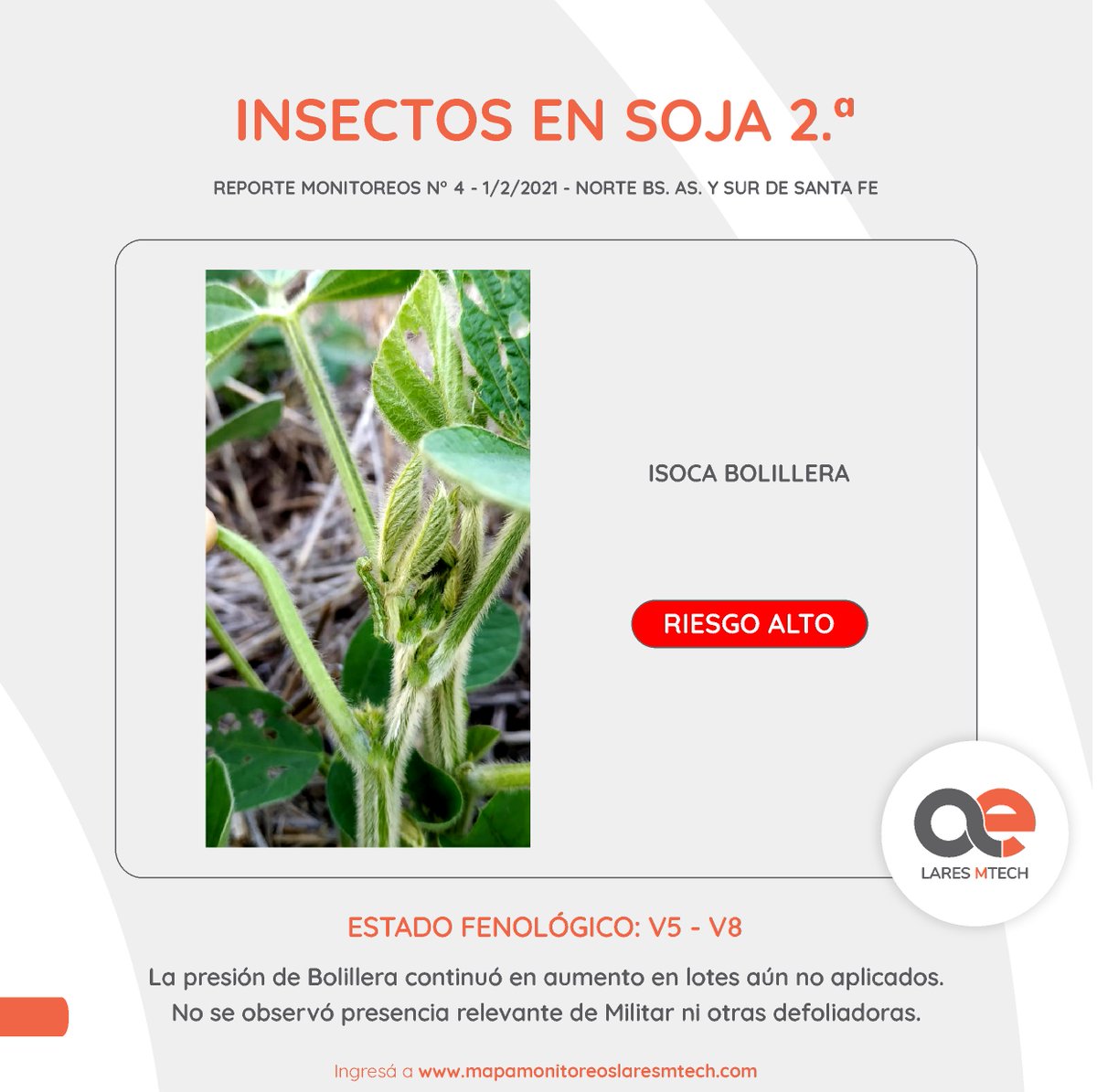 LaresSRL1's tweet photo. #YoMonitoreo: ¿Cómo vienen las sojas de 1° y 2° en el Norte de BA y Sur de Santa Fe? ¿A qué hay que prestarle atención en los próximos monitoreos?🌱👇

#InformeLares #LaresMTech https://t.co/XUh433fUdS