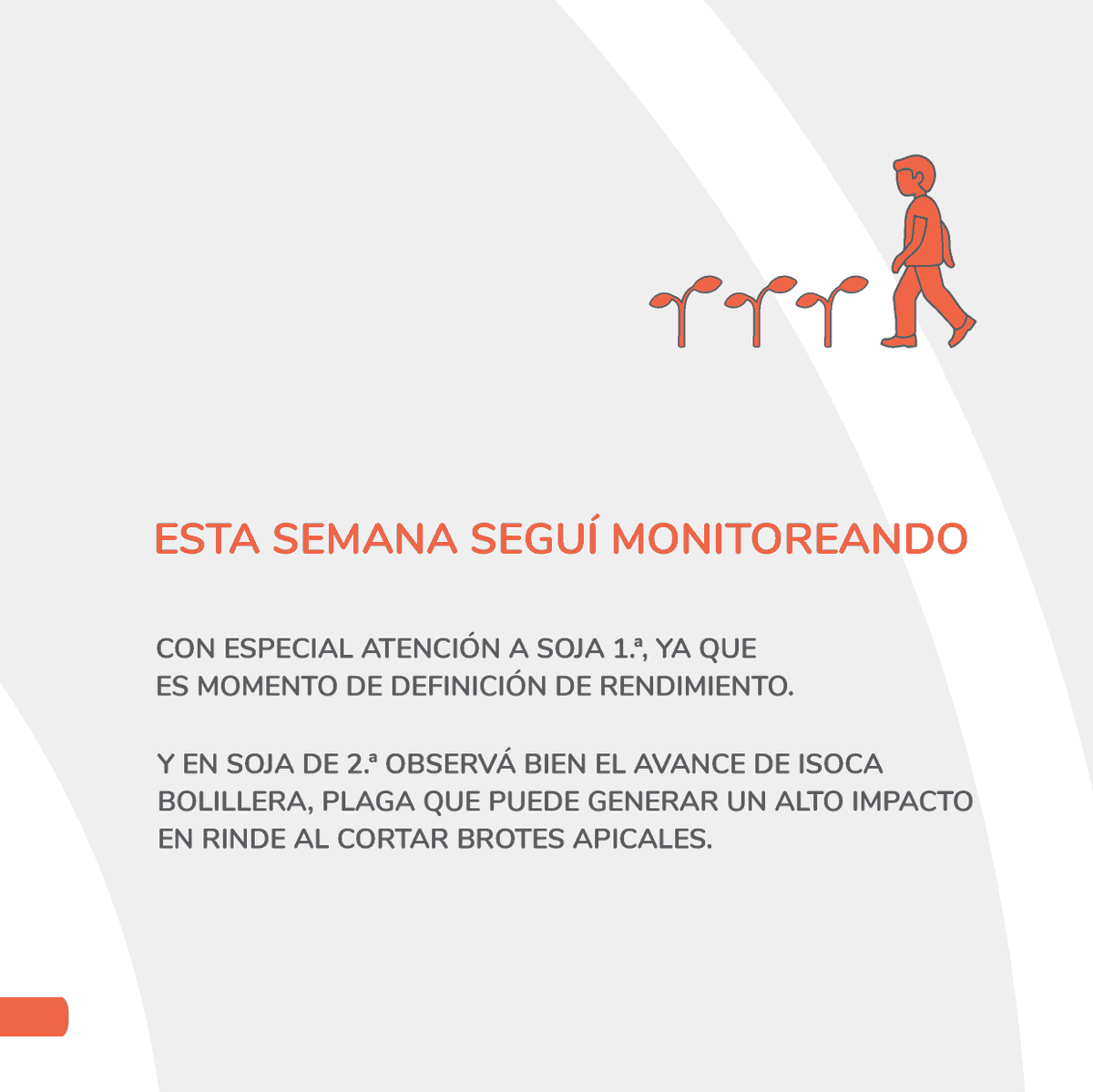 LaresSRL1's tweet photo. #YoMonitoreo: ¿Cómo vienen las sojas de 1° y 2° en el Norte de BA y Sur de Santa Fe? ¿A qué hay que prestarle atención en los próximos monitoreos?🌱👇

#InformeLares #LaresMTech https://t.co/XUh433fUdS