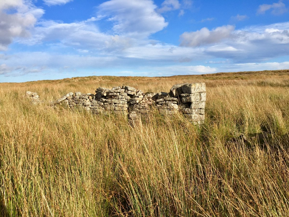 It's unclear what impact current wild land policy would have on moves to repopulate cleared townships. But planning policy sets out wild land areas "have little or no capacity to accept new development".