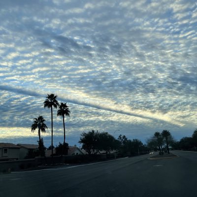 Joeden_C's tweet photo. #NewProfilePic https://t.co/gMbhr4LDrw