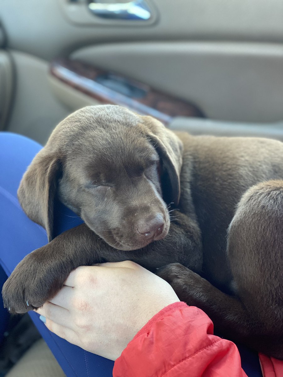 Mighty Goat tweet media