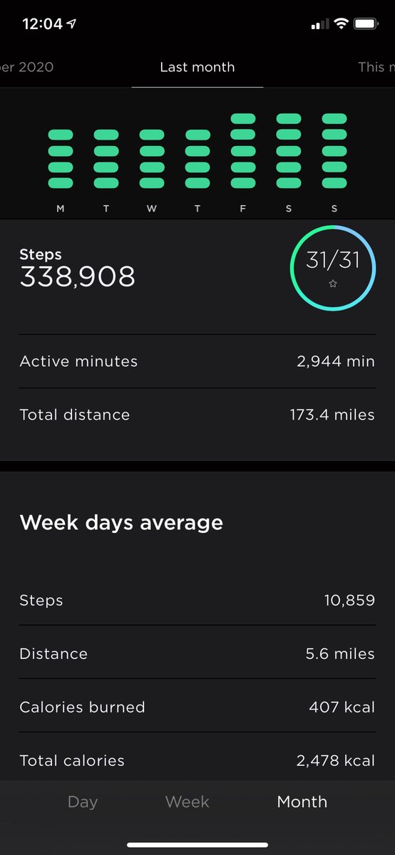 Walked 338,908 steps in January, an average just shy of 11,000 steps a day for a total distance of 173 miles