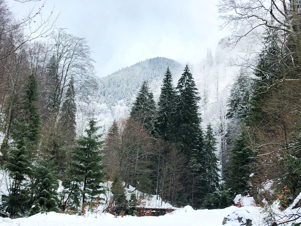 EuropeGenesys's tweet image. Pe #CheileJIEȚULUI ❄️ youtu.be/5qfpVzjwUBU ❄️ #lasăniuș, Cabana MIJA #ValeaJIULUI.