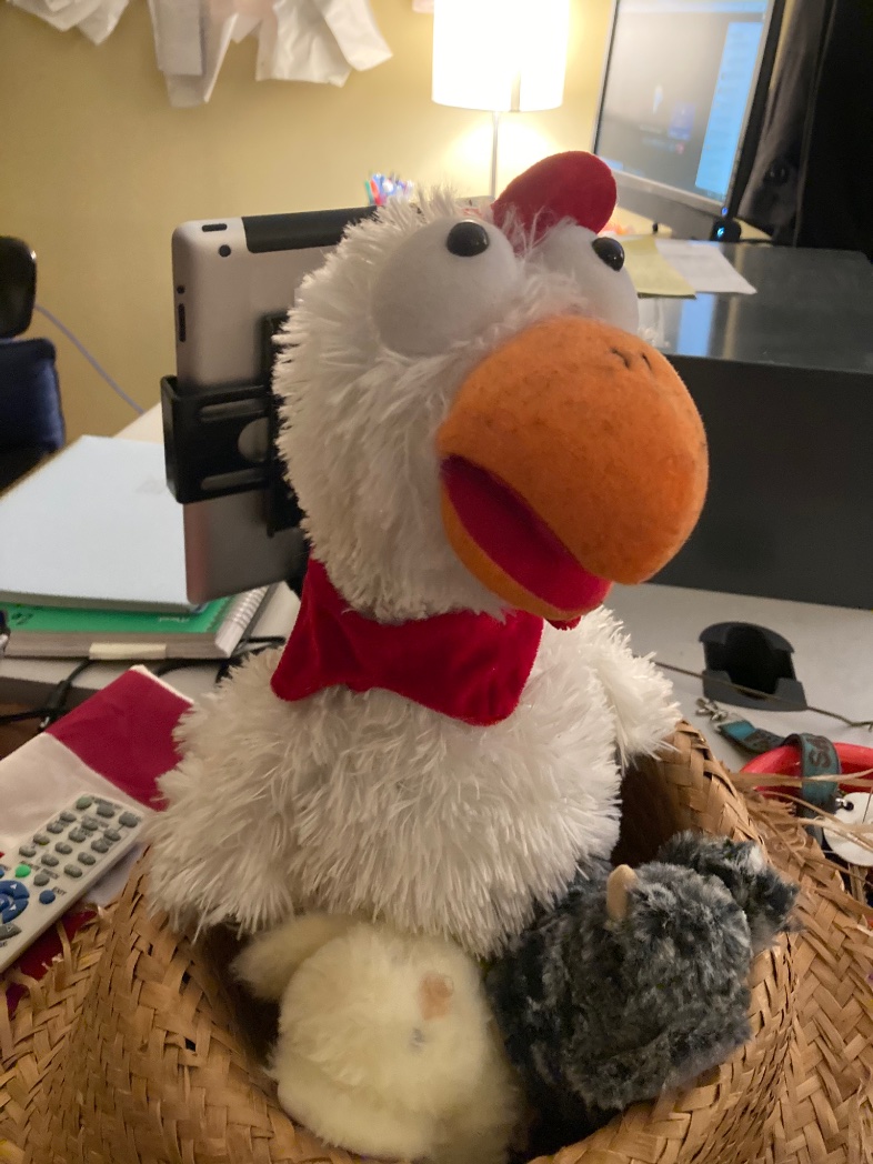 MrsSwaney's tweet photo. Weโre baaaaack!!!
*
*
#backtoschool #phonechicken #freshmen #newnest #samehat
*
*
@RCA_Career @RockdaleSchools https://t.co/IiJNNP0Hq4