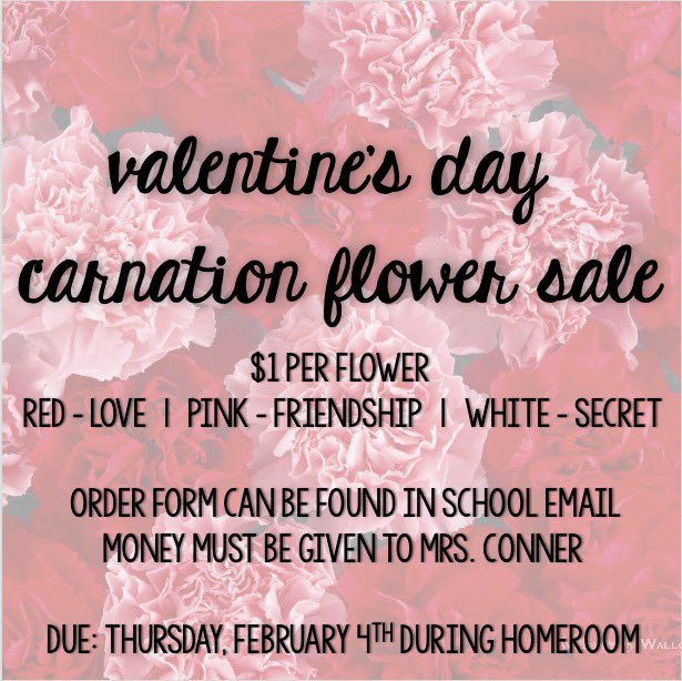 AHS_SC's tweet photo. Make sure to check your school email and order carnations before Thursday, February 4th!! Please retweet and spread the word! https://t.co/VIajmOWQAY