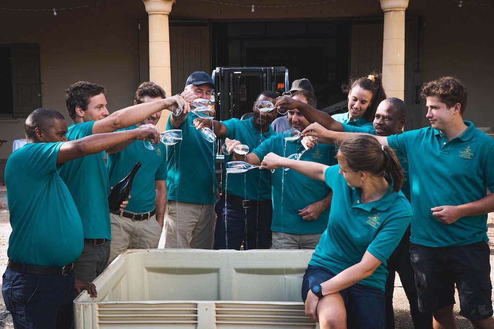 Waterford Estate Cellar Team blessing the Estate Chardonnay grapes on the first day of Harvest #SpectacularSouthAfrica
#VisitSAwinelands
#WineTourismSouthAfrica
#SupportSouthAfrica
#DrinkSouthAfrican #WaterfordEstate @kevinarnold777 @Mark_Waterford @WOSA_ZA @winecoza