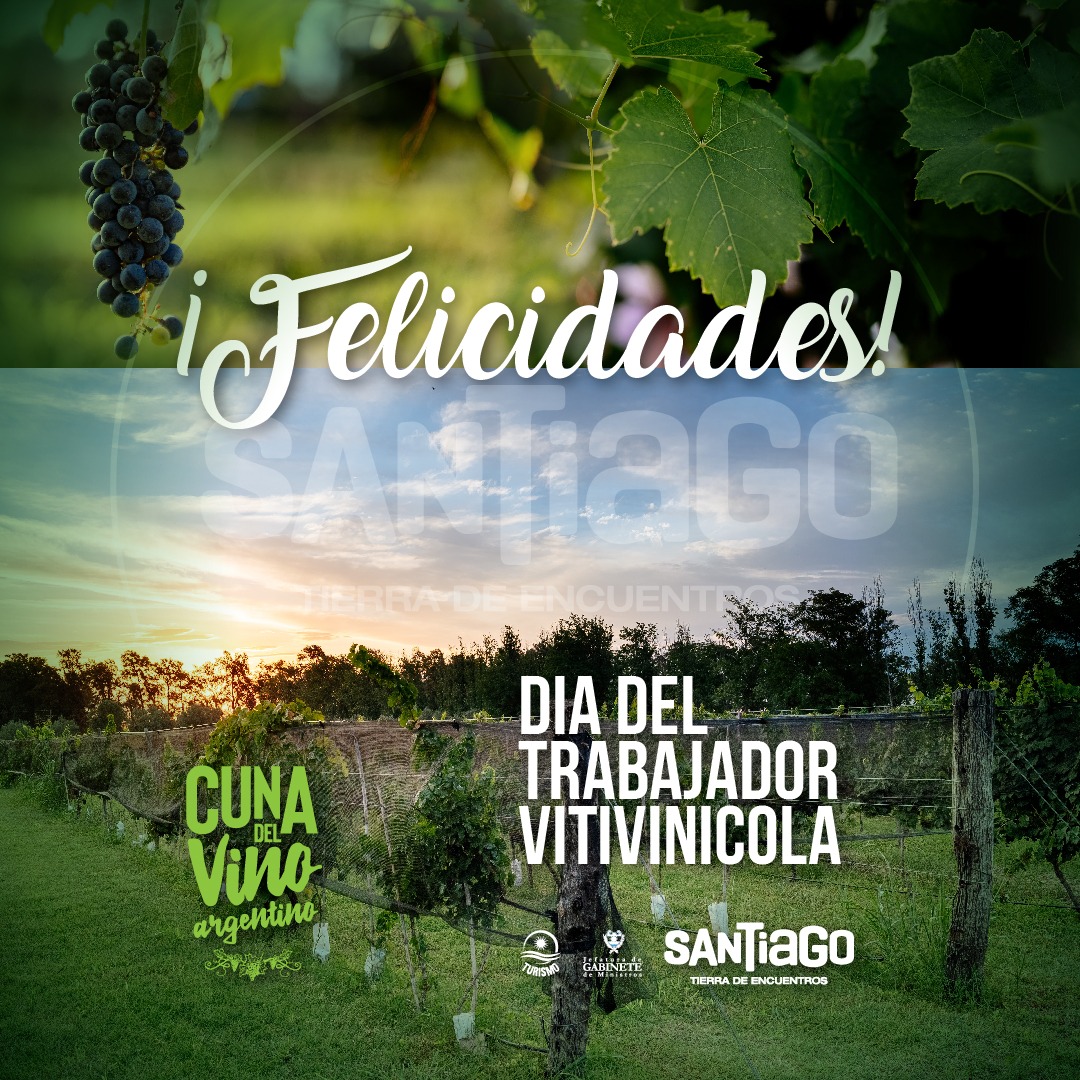 Turismo Santiago SDE tweet media