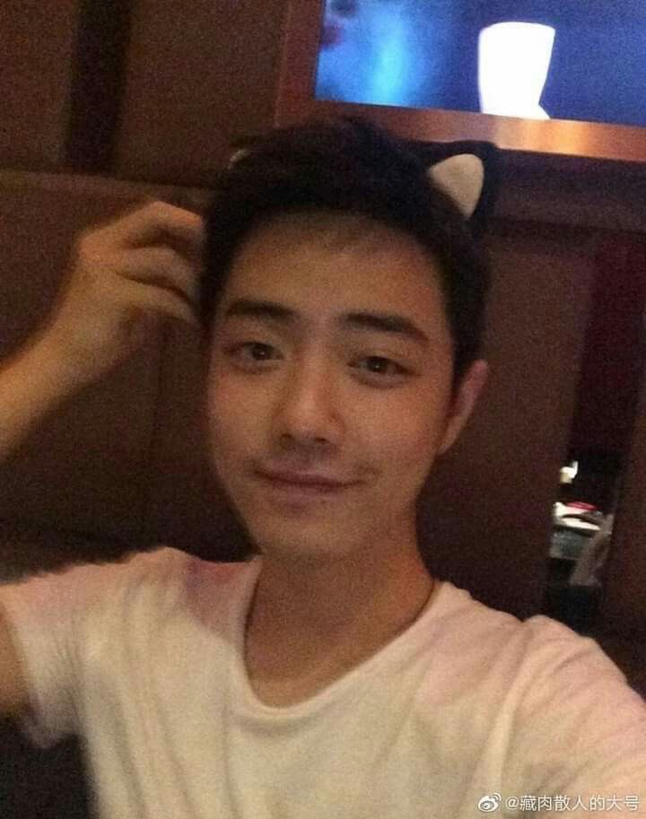 xiao zhan is a cat. confirmed.