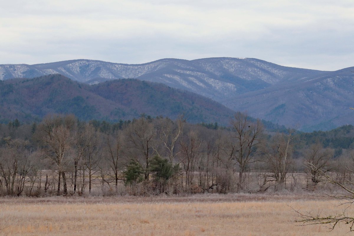 One advantage 2 living n such a #beautiful #area! #buck #deer #outdoors #adventure #ducks #smokymountains #greatsmokymountains #wildlife #wildlife_perfection #photography #photooftheday #doe #mountains #relax #cadescove #tennesseelife #tennesseephotographer #tennessee